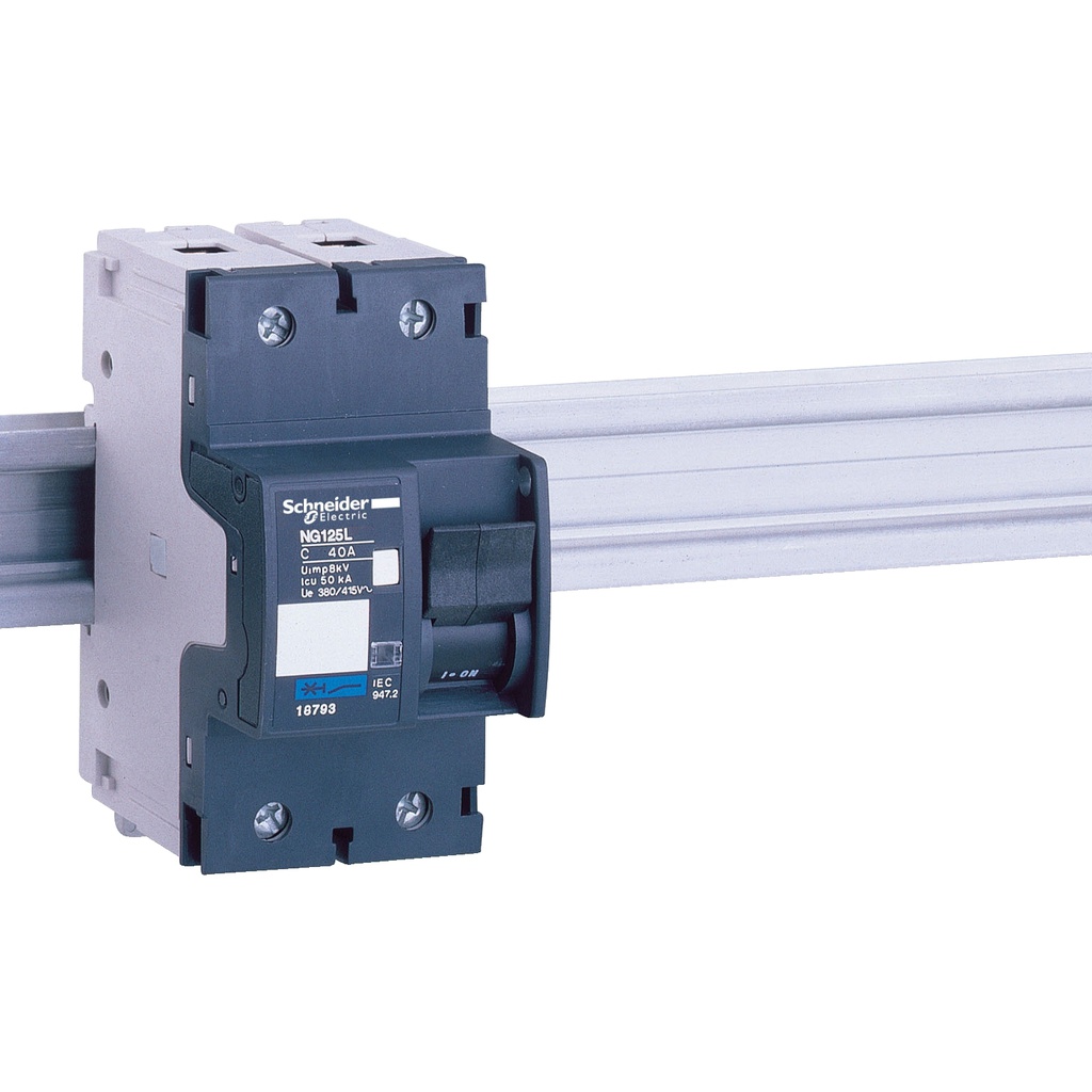 NG125L Devre Kesici 2P 10A  C