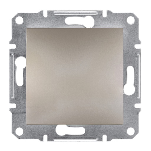 [EPH5600169] Asfora Plus Kör Kapak Bronz, çerçevesiz