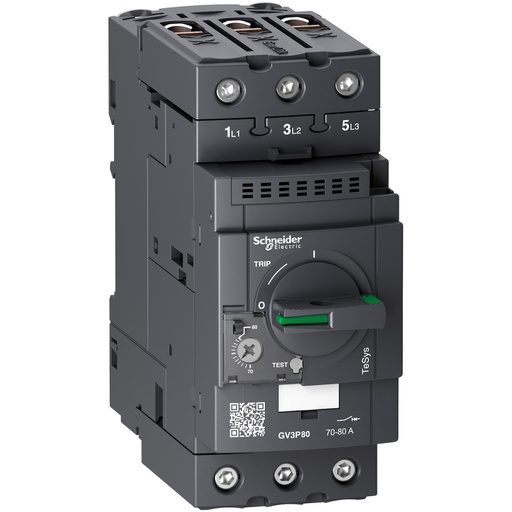 [GV3P80] TeSys GV2 Motor Devre Kesici Termik Many. 70-80A