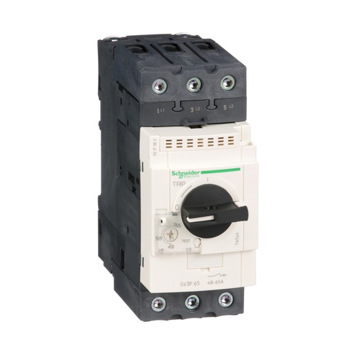 [GV3P65] TeSys GV3 Motor Devre Kesici Termik Many. 48-65A